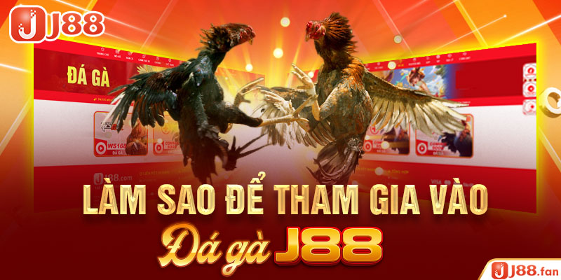 Làm sao để tham gia vào đá gà J88?